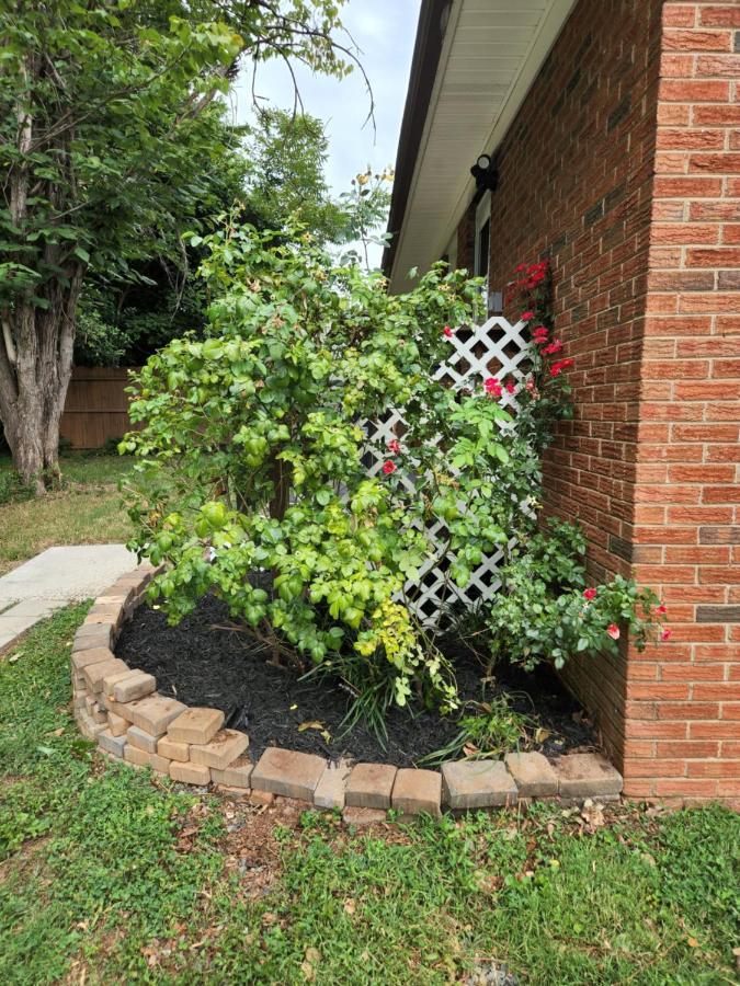 2Br 1Ba Duplex House King Beds Great For Small Groups Close To All Uptown Charlotte Attractions Εξωτερικό φωτογραφία